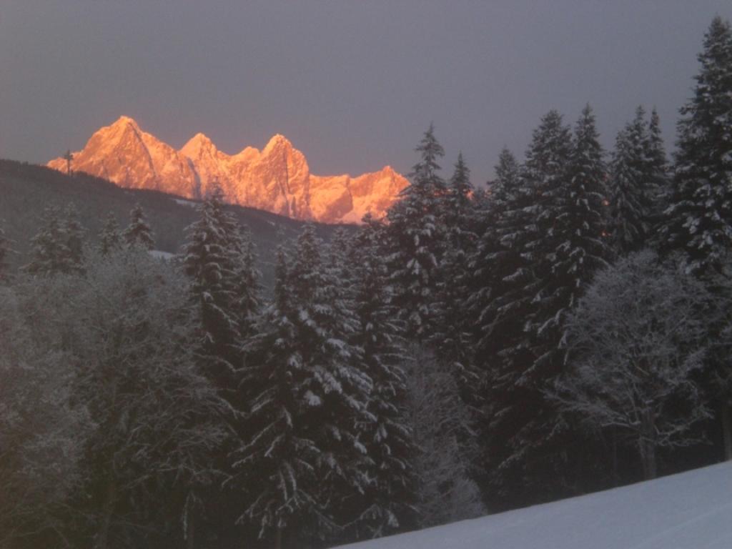 Apartament Lochgrubgut Altenmarkt im Pongau Zewnętrze zdjęcie