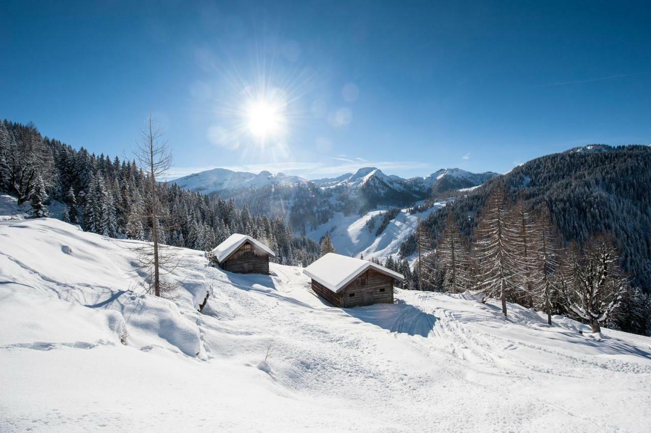 Apartament Lochgrubgut Altenmarkt im Pongau Zewnętrze zdjęcie